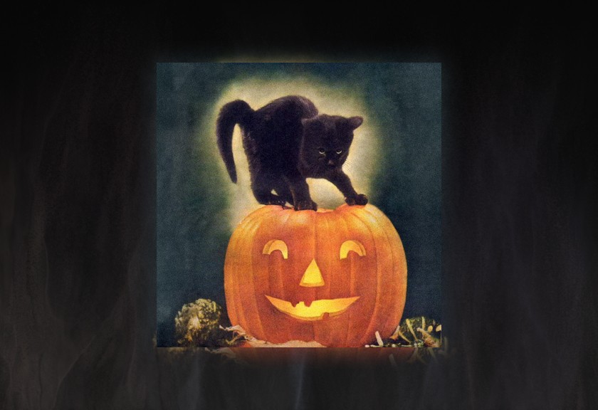 Black cat on a pumpkin